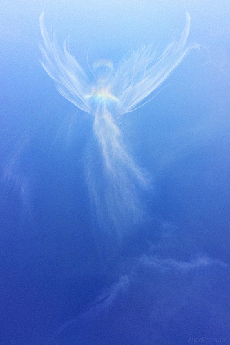 angel