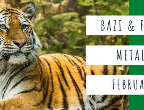 February 2021 Yang Metal Tiger Feng Shui & BaZi Update